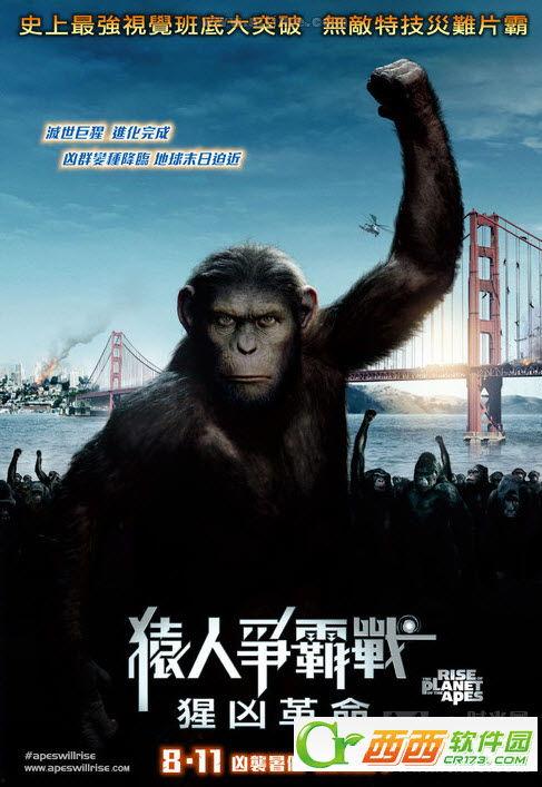 猿族崛起在线观看,探寻原始智慧与人类文明的交融之旅